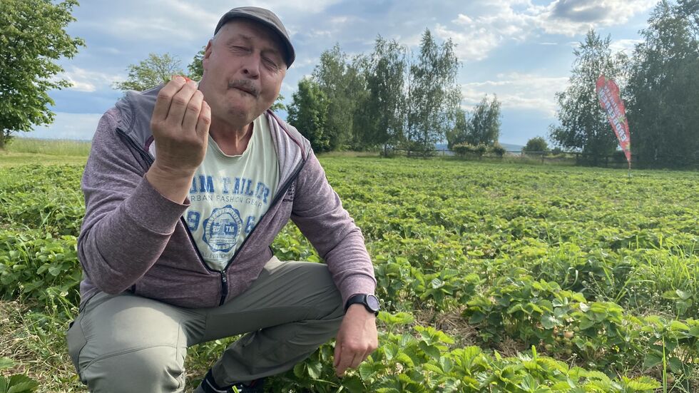 ... schmeckt schon richtig süß, meint der Meister.