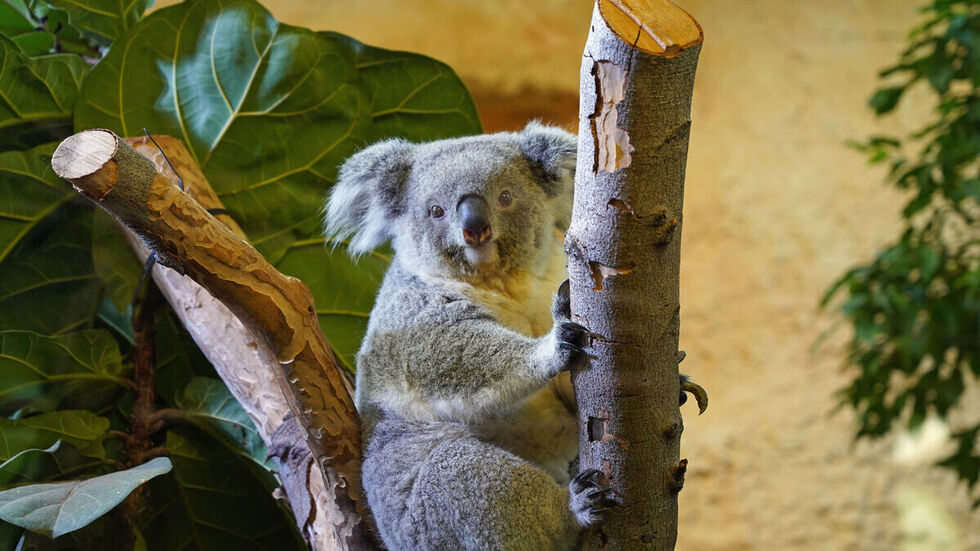 Von außen ist bislang nichts zu sehen.