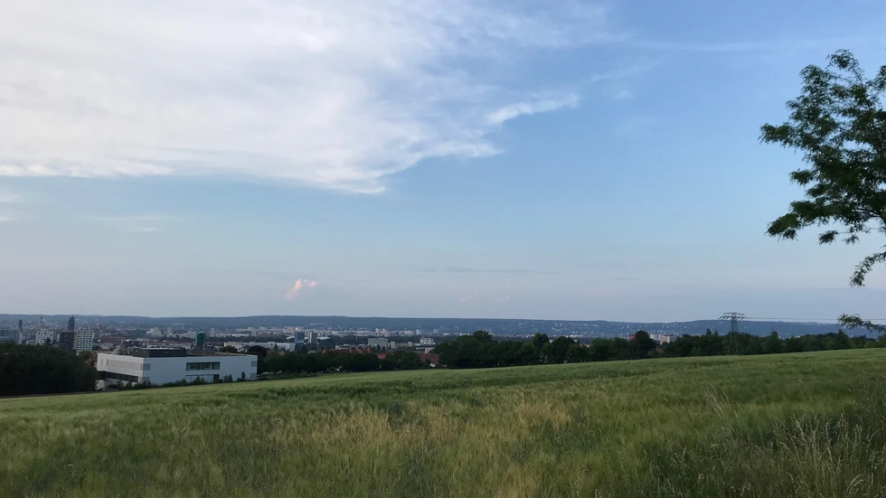 Hier soll der neue Südpark entstehen. Foto: Rocco Reichel
