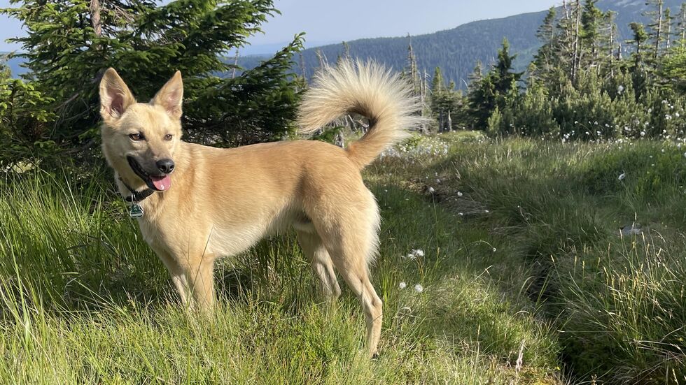 Juri wird in 01127 Dresden vermisst. Er wurde zuletzt im Bereich der Leipziger Straße gesehen