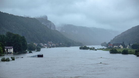 Ein Blick auf die Elbe in Bad Schandau am Montagvormittag.