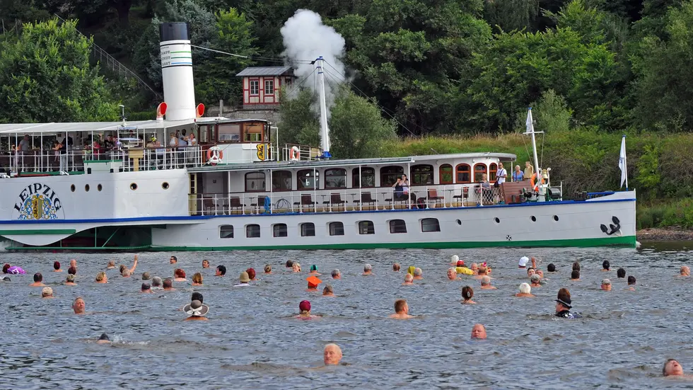 In Dresden lädt das Elbeschwimmen zum 25. Jubiläum ein. (Archivbild) In Dresden lädt das Elbeschwimmen zum 25. Jubiläum ein. (Archivbild)
