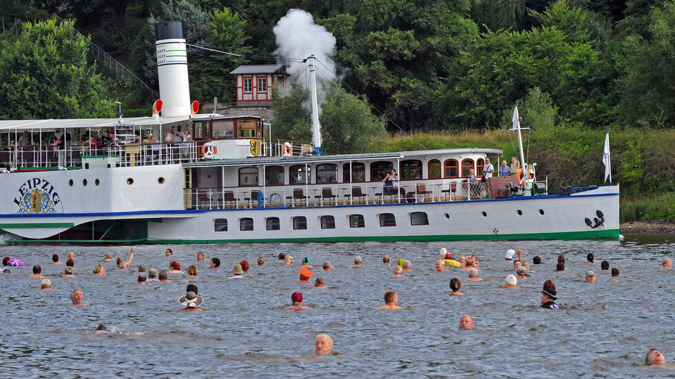 In Dresden lädt das Elbeschwimmen zum 25. Jubiläum ein. (Archivbild)