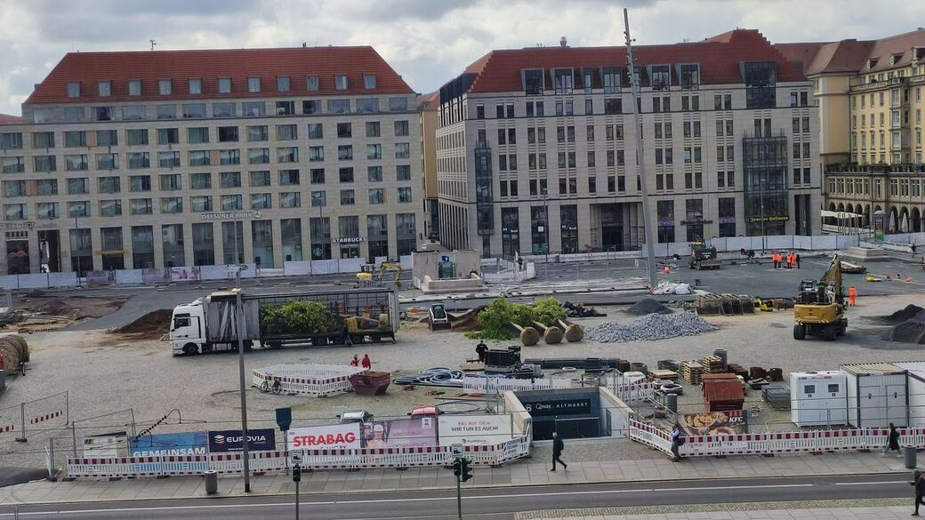 Die angelieferten Bäume auf dem Altmarkt.