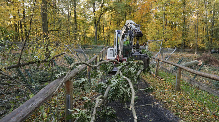 Aufräumarbeiten im Wildgehege Moritzburg.