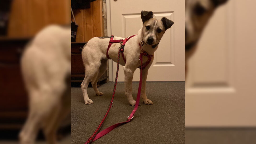 Mit diesem Bild wird nach Yuki gesucht. Mit diesem Bild wird nach Yuki gesucht.