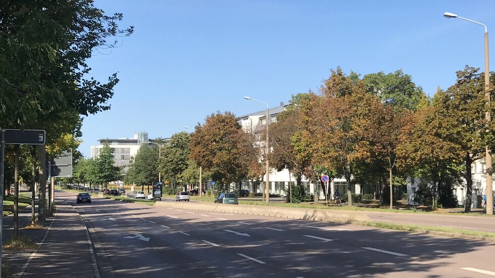 Foto: Rocco Reichel