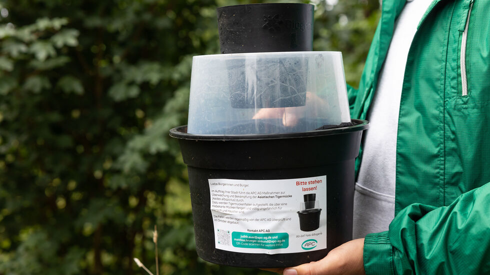 Mit dieser Falle sollte die Tigermücke gefangen werden