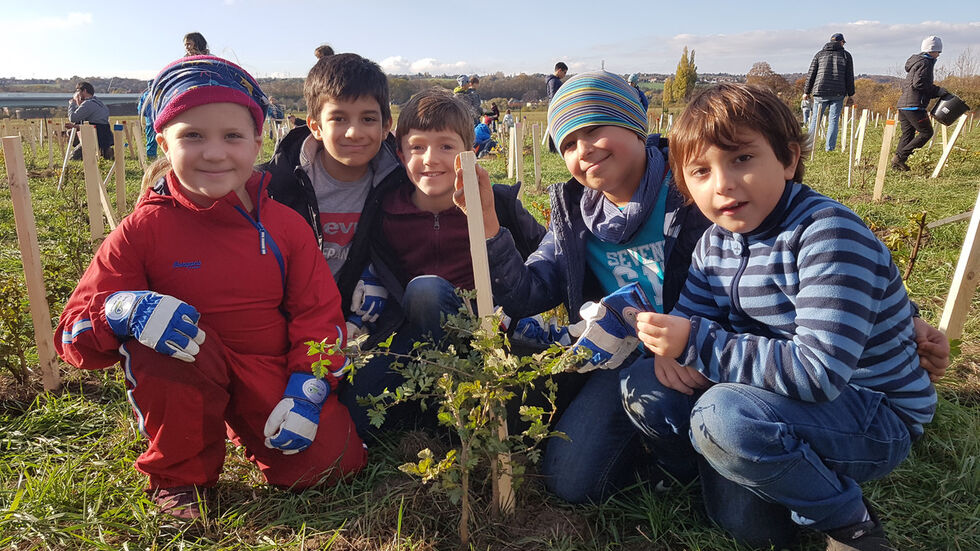 Ella, Arda, Gustav, Luis und Adan von der 15. Grundschule in Dresden, haben schon viele Bäume und Sträucher eingepflanzt. (Foto: Redaktion/Franziska Meier) Ella, Arda, Gustav, Luis und Adan von der 15. Grundschule in Dresden, haben schon viele Bäume und Sträucher eingepflanzt. (Foto: Redaktion/Franziska Meier)