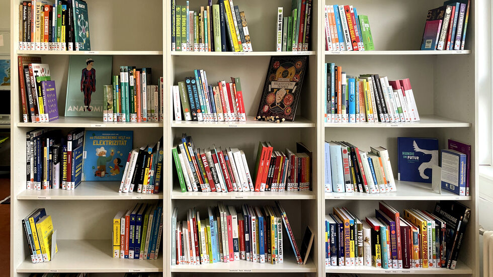 Ein Blick in ein Bücherregal der Schulbibliothek.
