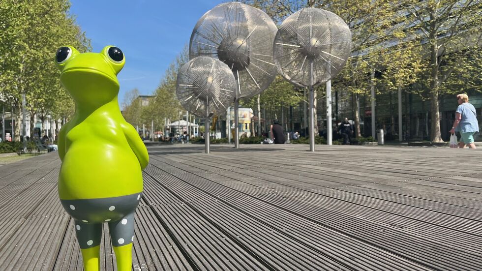 Der Frosch sitzt, wie die Dresdner im Trockenen. Zastrow will damit humoristisch die Umweltbürgermeisterin auffordern, "kein Frosch zu sein und die Brunnen wieder anzustellen".