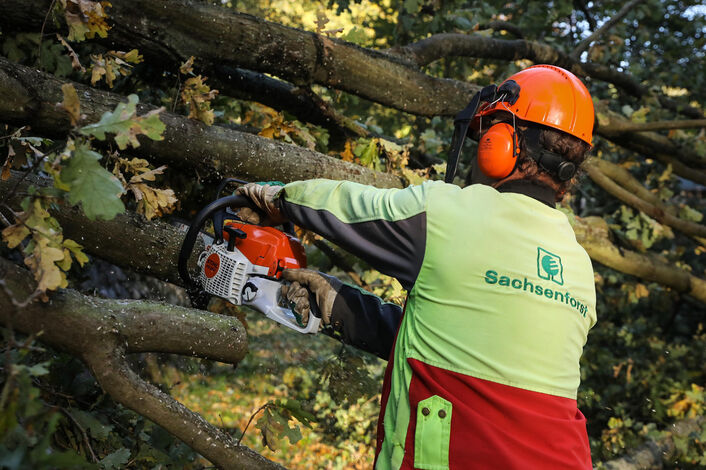 Aufräumarbeiten im Wildgehege Moritzburg.