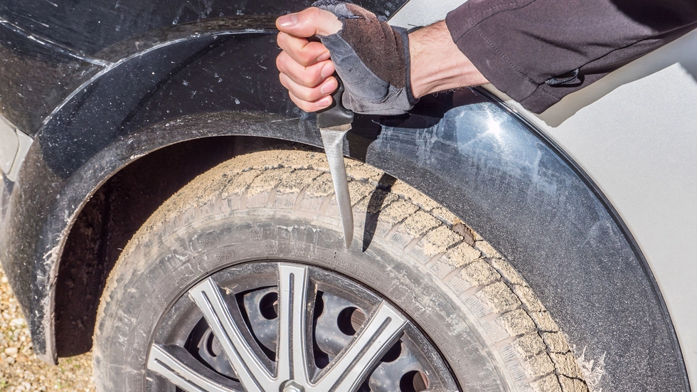 Symbolbild © animaflora picsstock Symbolbild © animaflora picsstock