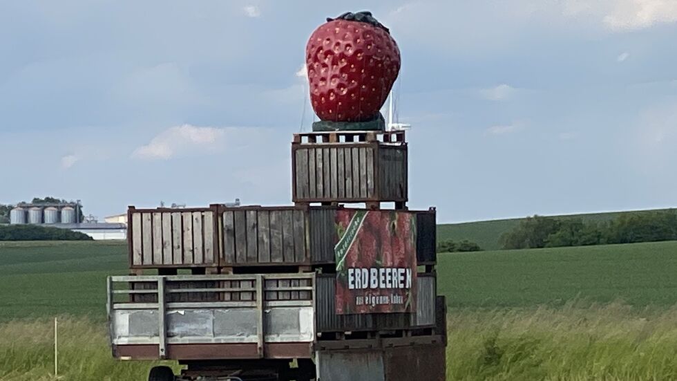 Durch die großen Erdbeer-Figuren sieht man schon von weitem, wo es frische Früchtchen (zum Selberpflücken) gibt.