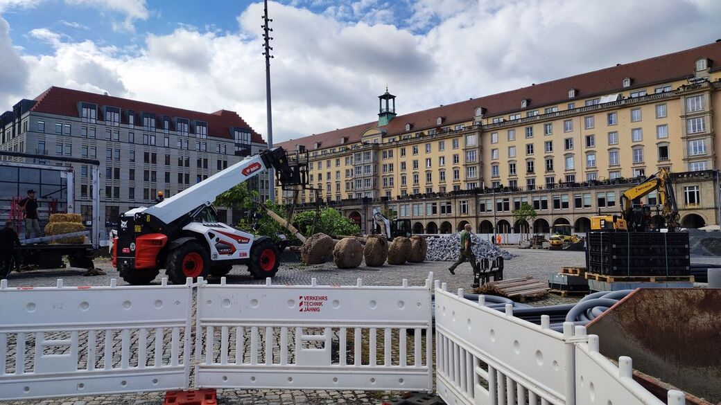 Die Gewächse kommen aus Nordrhein-Westfalen.