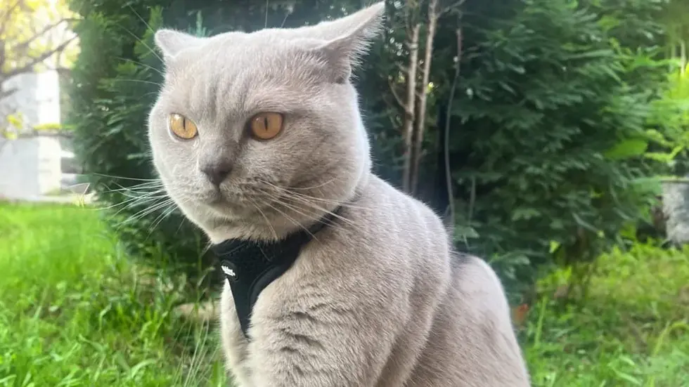 Jeri wird seit Donnerstag, 20.08. vermisst 
