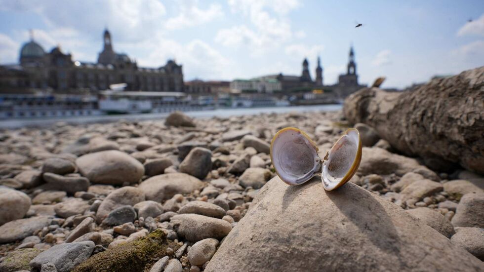 Die Sommer in Dresden werden immer mediterraner, doch die Stadt braucht den Regen