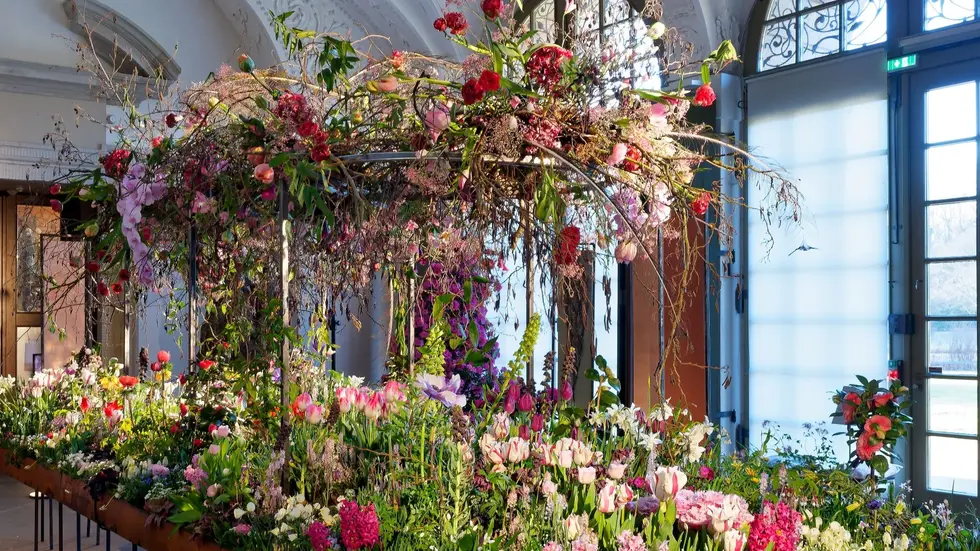 Opulent inszeniert: Mit der „Tafel der Vielfalt“ entfaltete sich beim Dresdner Frühling im Palais eine eindrucksvolle Komposition aus gärtnerischen und floristischen Arbeiten. Besucher konnten die facettenreiche Blütenpracht aus nächster Nähe erleben. 