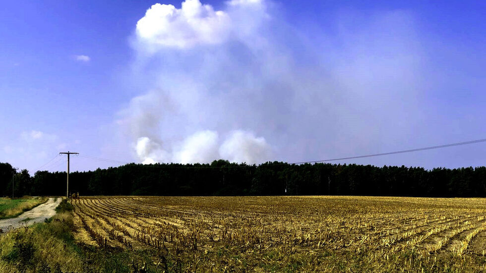 Foto: Archiv (Rocci Klein) Foto: Archiv (Rocci Klein)