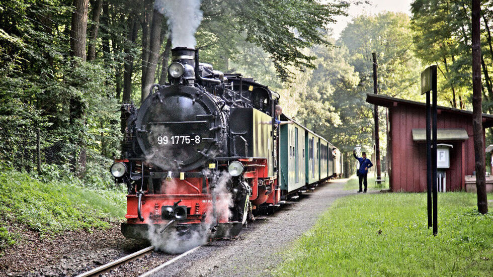 Die Traditionsbahn "Lößnitzdackel" legt eine Pause ein. (Symbolbild)