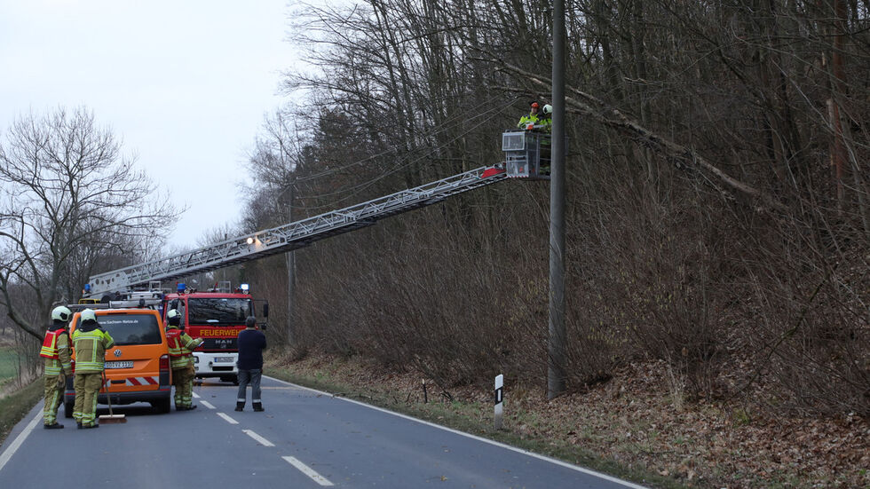 Auf der B6 zwischen Niederwartha und Wildberg war ein Baum in eine Freileitung gekippt. Auf der B6 zwischen Niederwartha und Wildberg war ein Baum in eine Freileitung gekippt.