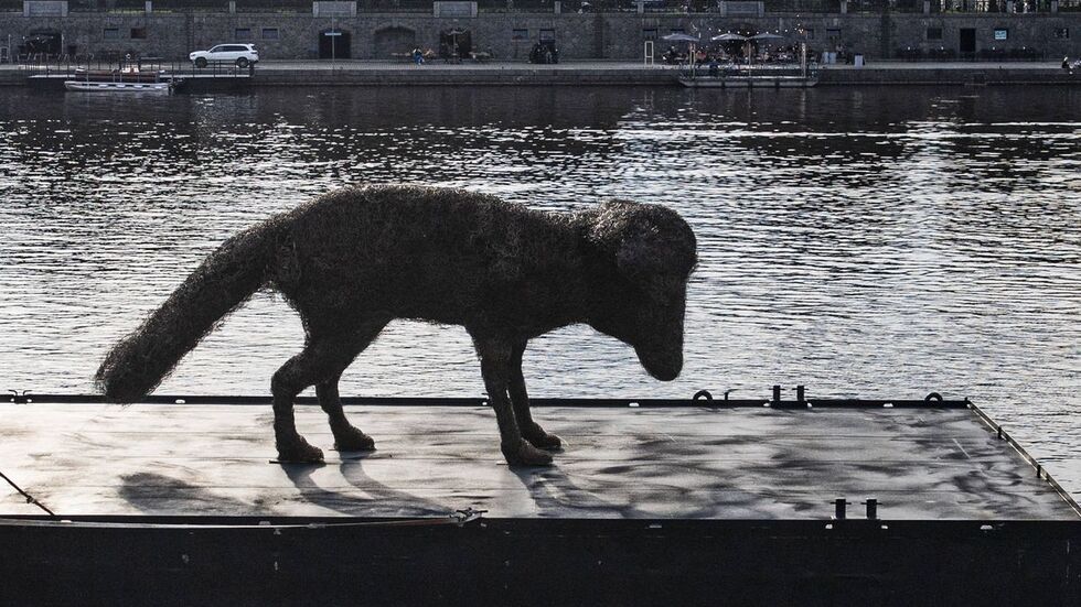 Die riesige Hunde-Skulptur kam mit dem Schubschiff von Prag nach Dresden