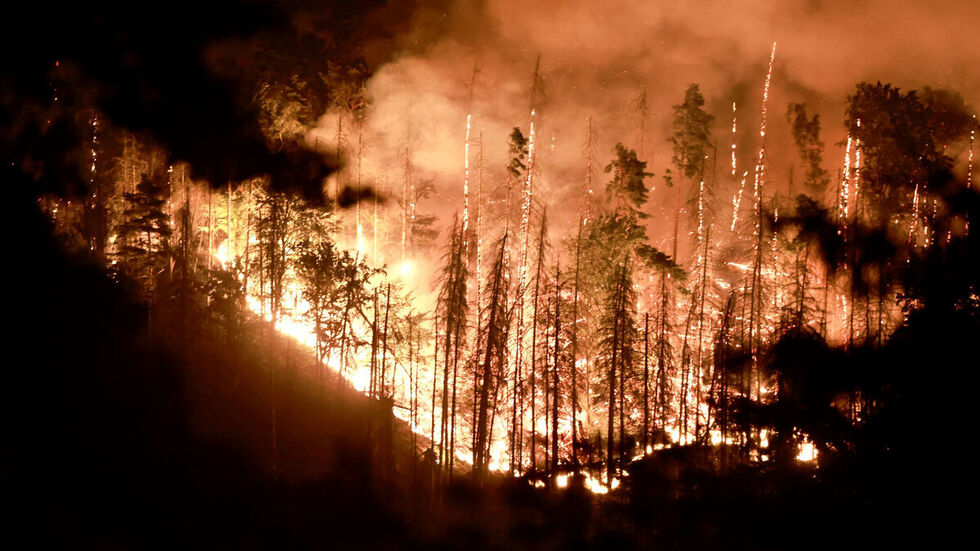 Der große Waldbrand im Nationalpark Sächsische Schweiz hielt die Feuerwehr im August 2022 wochenlang in Atem. 