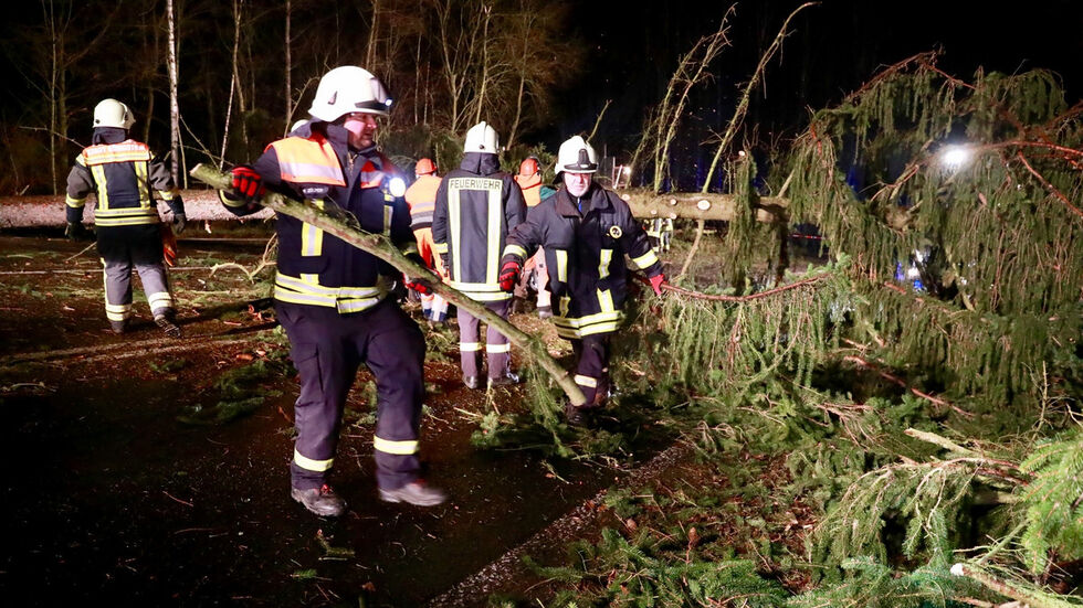 (c) Marko Förster (c) Marko Förster