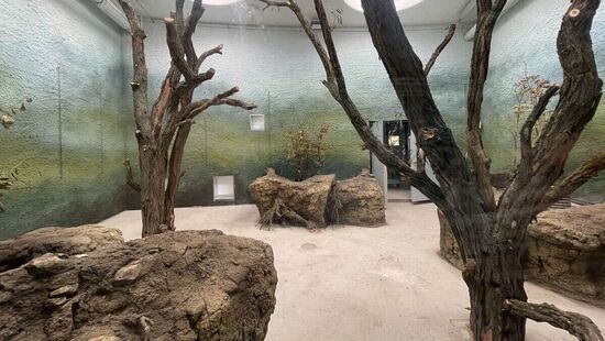 Die Gestaltung der Gehege läuft auf Hochtouren.