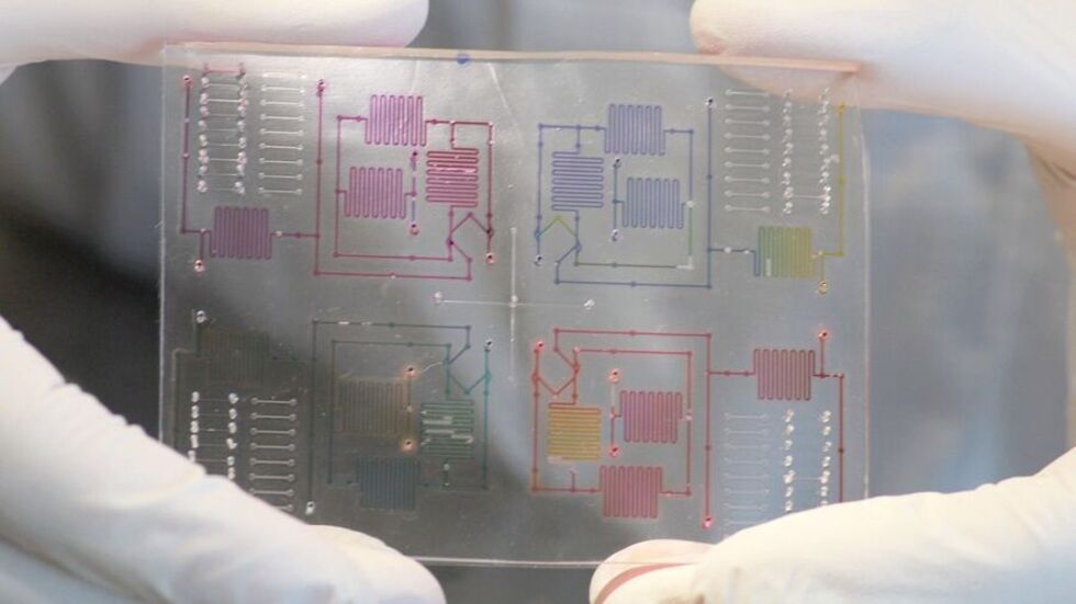 Auf chemische Reaktionen programmiert: Der "Chip-on-Lab" der Dresdner TU Forscher soll PCR-Schnelltests ermöglichen. Auf chemische Reaktionen programmiert: Der "Chip-on-Lab" der Dresdner TU Forscher soll PCR-Schnelltests ermöglichen.