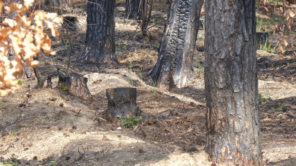 Symbolbild Symbolbild