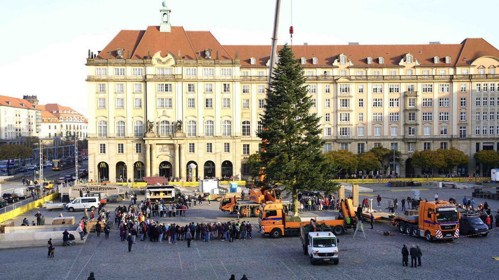 Im vergangenen Jahr zierte eine Küstentanne den Altmarkt. Der Aufbau lockte zahlreiche Zuschauer an. (Archivbild)