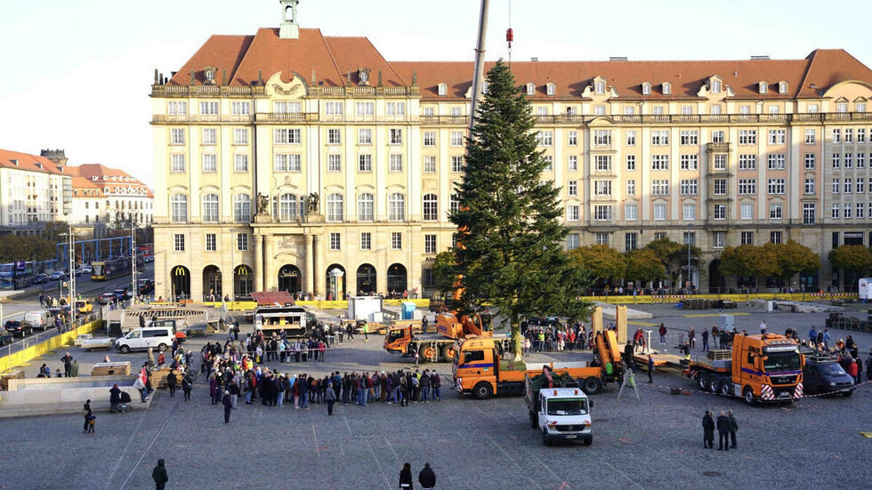 Wie im vergangenen Jahr können Schaulustige beim Aufbau des Striezelbaumes auf dem Altmarkt mit dabei sein. (Archivbild) Wie im vergangenen Jahr können Schaulustige beim Aufbau des Striezelbaumes auf dem Altmarkt mit dabei sein. (Archivbild)
