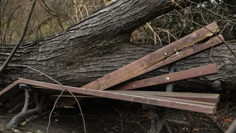 Symbolbild Symbolbild