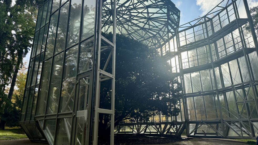 Das Glashaus wird langsam über die Kamelie gefahren.