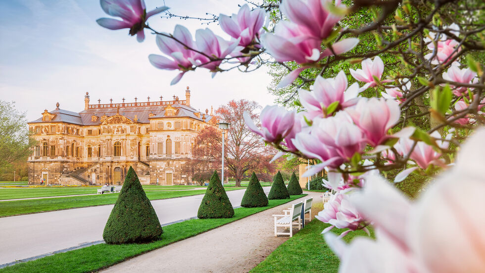 Frühling am Palais im Großen Garten Dresden