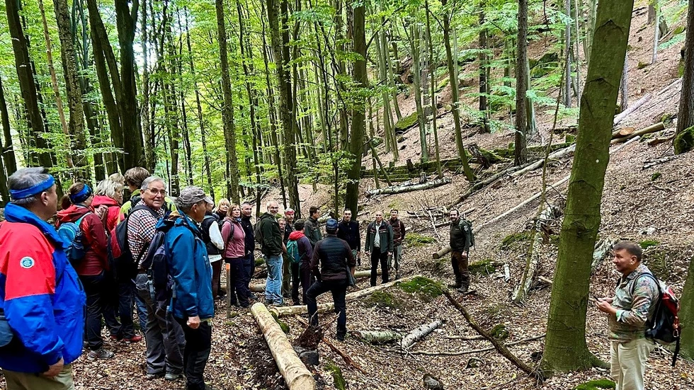 Der Wanderweg von der sächsischen  in die böhmische Schweiz ist jetzt begehbar