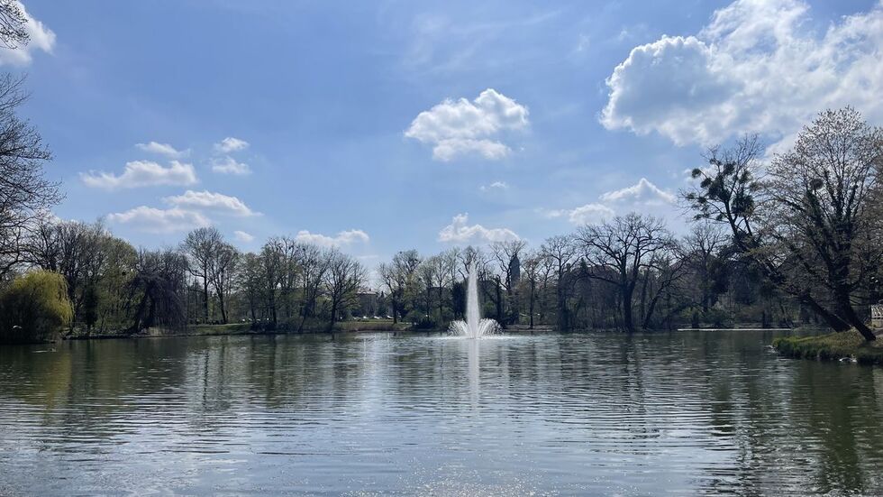 So schön sieht der Carolasee an seinen "normalen" Tagen aus. Nun tauchten vermehrt tote Fische in dem Gewässer auf.