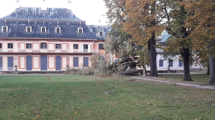 Sturmschäden im Schlosspark Pillnitz.