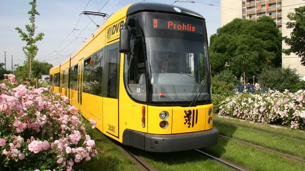 Rosige Zeiten? Wohl kaum: Die DVB steuern in eine unsichere Zukunft. (Symbolbild)