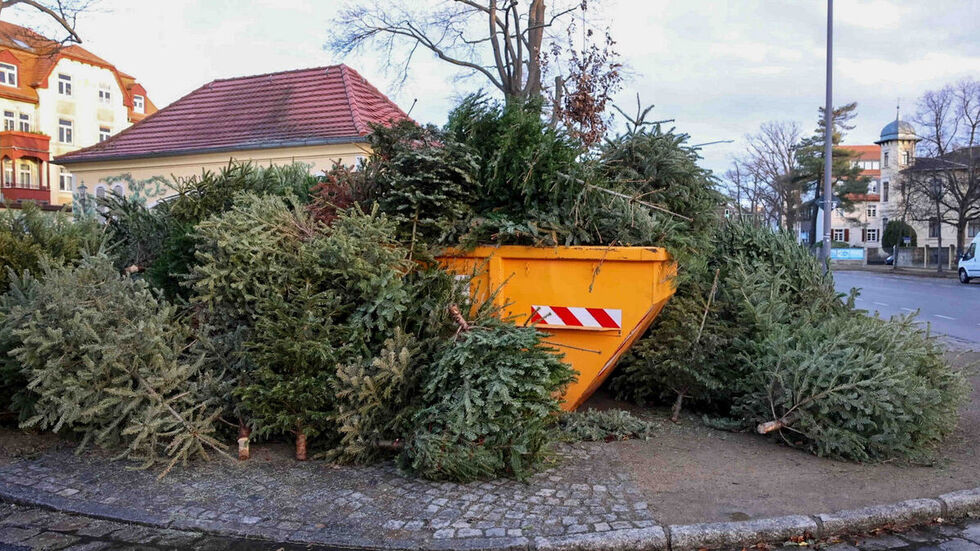 In Dresden sind die Container bereits gut gefüllt.
