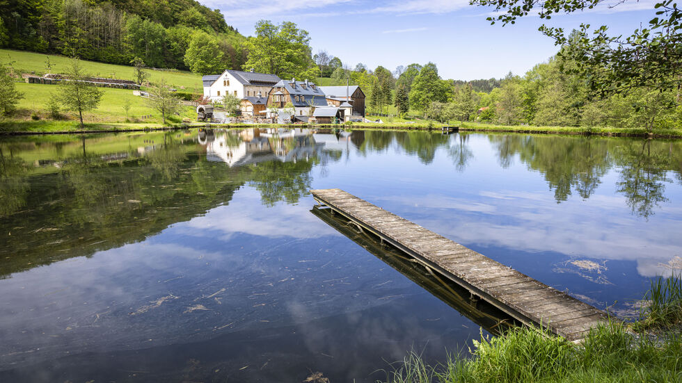 Idylle am See : Die Bienhofer Mühle bei Bad Gottleuba-Berggießhübel