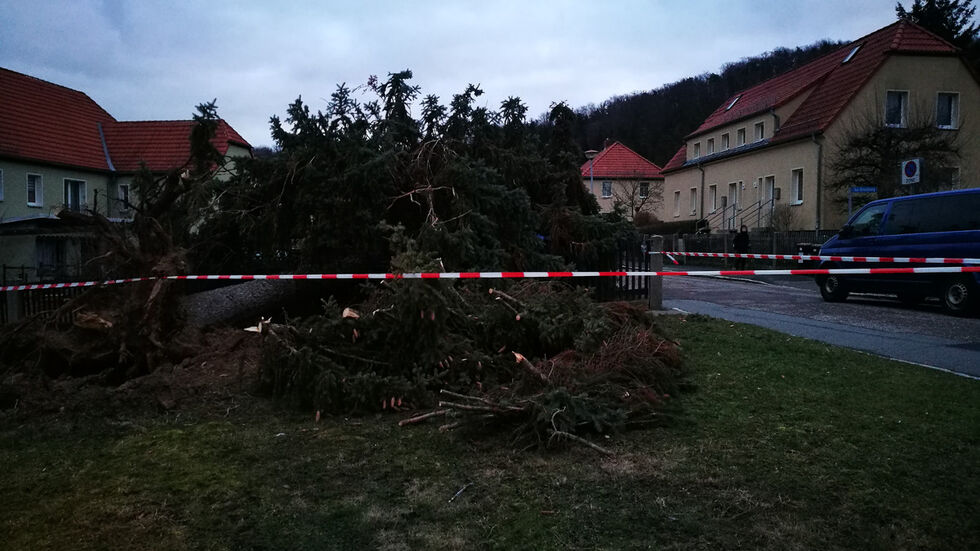 In Freital warf es diesen Riesen um. (c) Redaktion In Freital warf es diesen Riesen um. (c) Redaktion