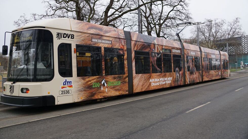 So sieht die neu gestaltete Zoo-Straßenbahn aus. So sieht die neu gestaltete Zoo-Straßenbahn aus.