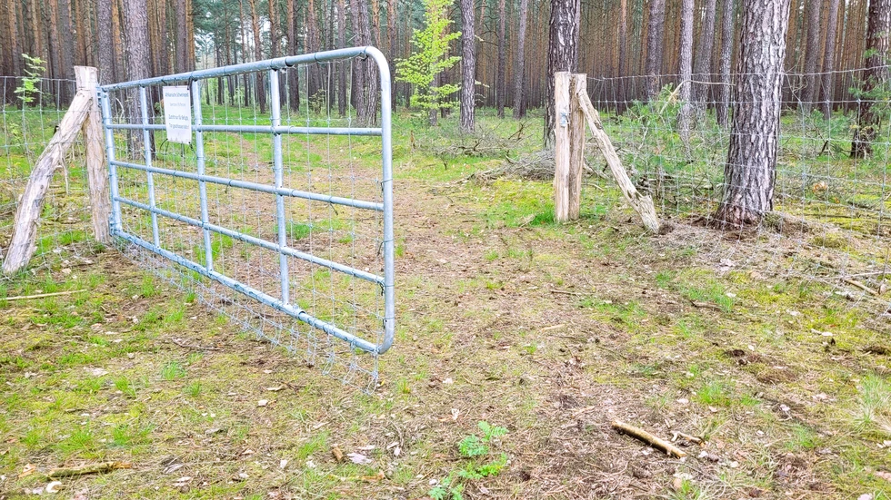 Symbolbild Symbolbild