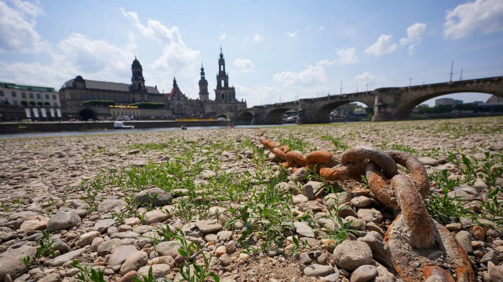 Die Temperaturen steigen, die Elbe führt seit Wochen Niedrigwasser: Dresden hat nun sein erstes Hitze-Handbuch veröffentlicht.