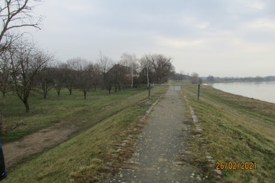 Neuer Bauabschnitt am Elbdeich bei Zeithain Radio Dresden
